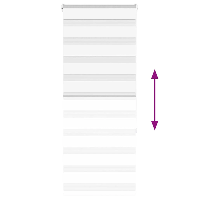 vidaXL žalūzijas zebra 60x150 cm auduma platums 55,9 cm poliesters