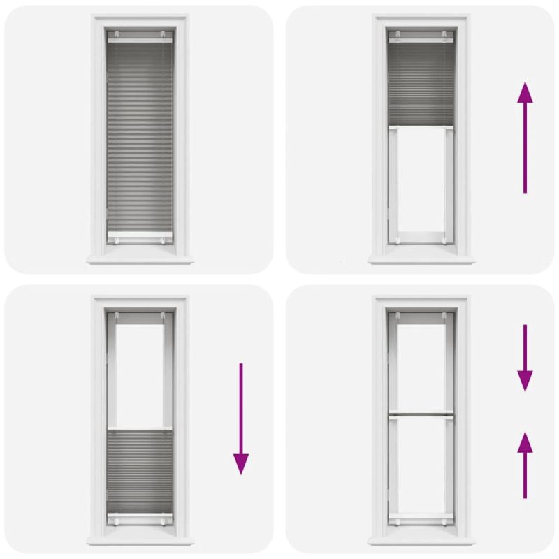vidaXL plisētās žalūzijas antracīts 40x100 cm auduma platums 39,4 cm