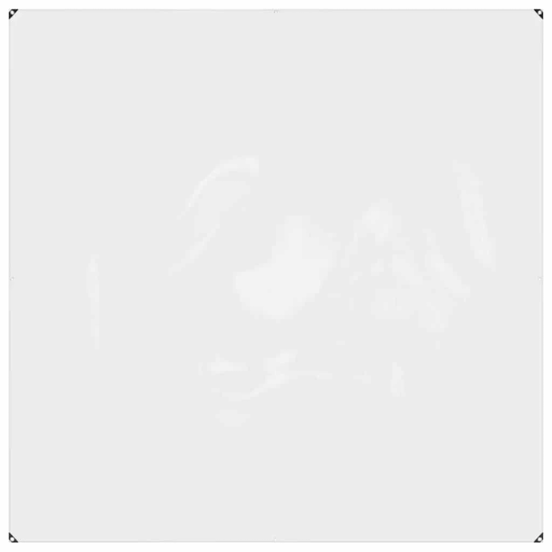 vidaXL caurspīdīgs brezents ar cilpiņām, 2x2 m, PVC