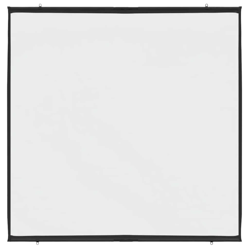 vidaXL projekcijas ekrāns pie sienas 81 collu 1:1