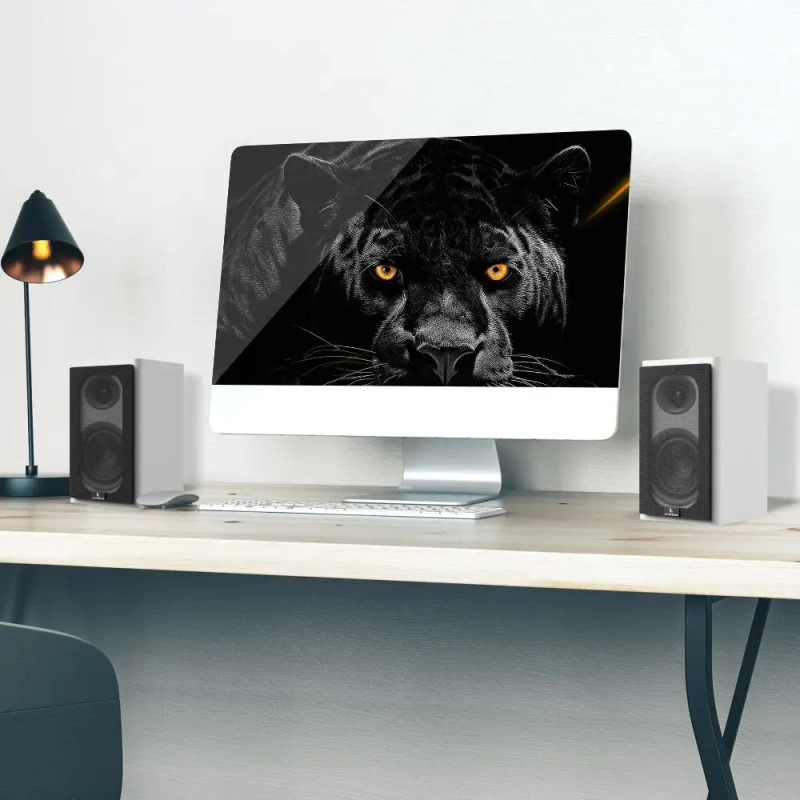 Laudberg XS1W bookshelf speakers 2.0 80W white