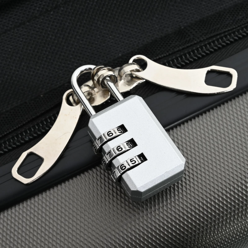 vidaXL Koferis ar slēdzeni Tumši pelēka 50 x 30 x 76 cm ABS plastmasa