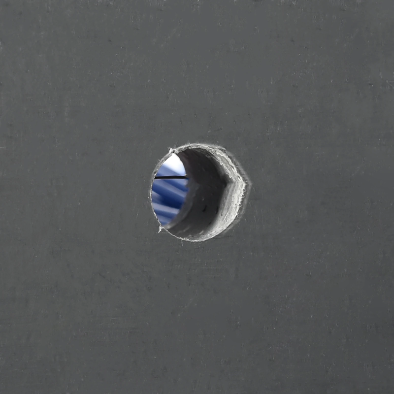 vidaXL Lopkopības birstes Sarkana un zila 50 x 10 x 6.5 cm