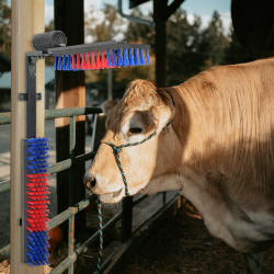 vidaXL Lopkopības birstes Sarkana un zila 84 x 10 x 91 cm PVC