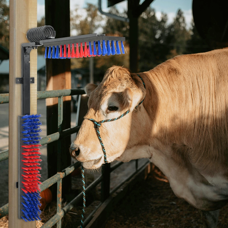 vidaXL Lopkopības birstes Sarkana un zila 84 x 10 x 91 cm PVC