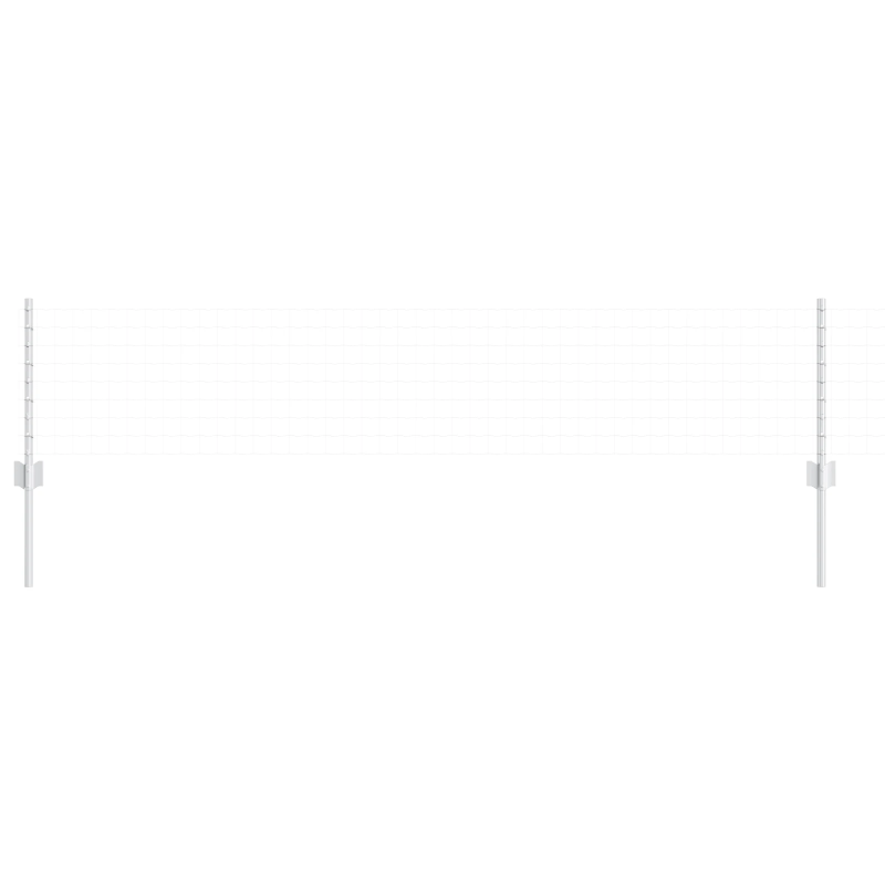 vidaXL Žoga āķis 22 pcs Sudraba 80 cm Tērauds