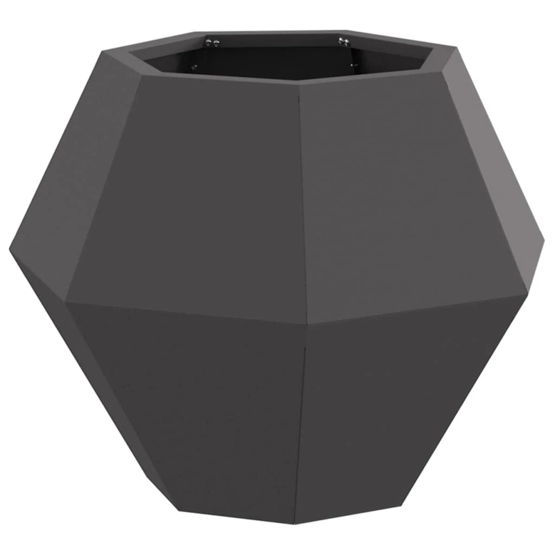 vidaXL Puķu kaste 2 pcs Melna 50 x 50 x 40 cm Tērauds