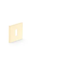 Eschutcheon for key gold