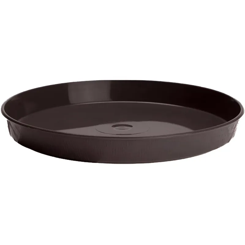 Paliktnis puķu podam Kokveidīgs 3 brūns