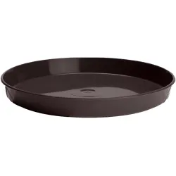 Paliktnis puķu podam Kokveidīgs 5 brūns