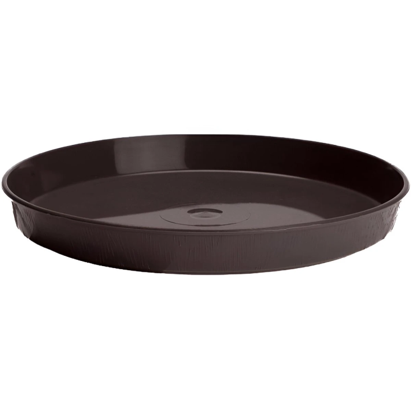 Paliktnis puķu podam Kokveidīgs 5 brūns