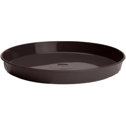 Paliktnis puķu podam Kokveidīgs 7 brūns