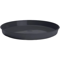 Paliktnis puķu podam Kokveidīgs 4 pelēks