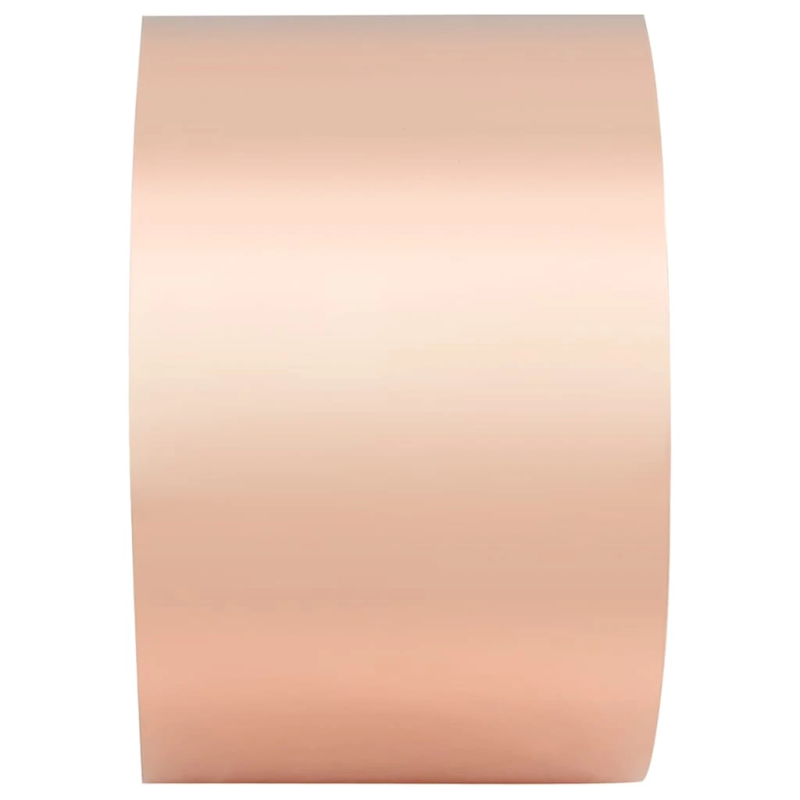 vidaXL Vara lente 6 pcs Varš 2000 x 7 cm Varš