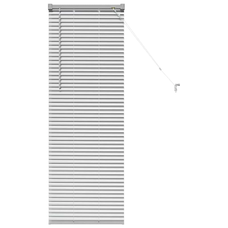 vidaXL Logu žalūzija ar aizkariem Sudraba Alumīnijs