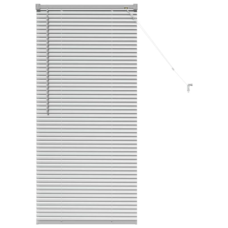 vidaXL Logu žalūzija ar aizkariem Sudraba Alumīnijs