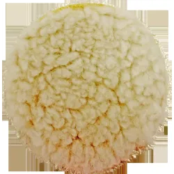 Disks pulēšanai 125mm vilna Beast