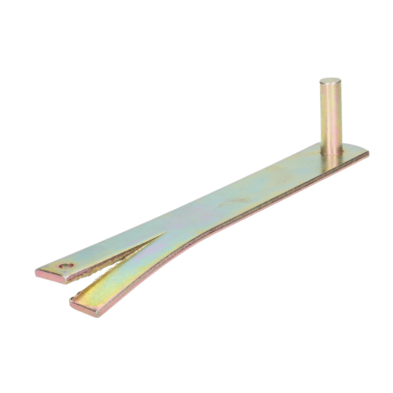 Eņģes tapa iemūrējama CM 13 255x40x5,0