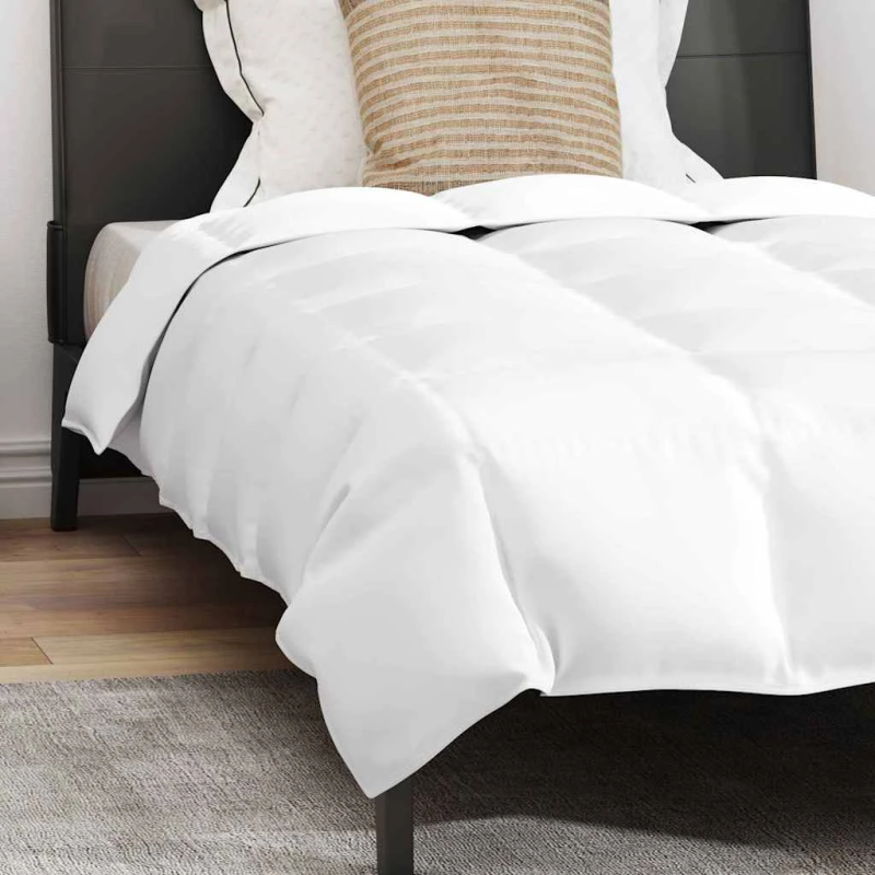 vidaXL Vasaras segas ar spilvenu 2 pcs Balts Dūnu spalva