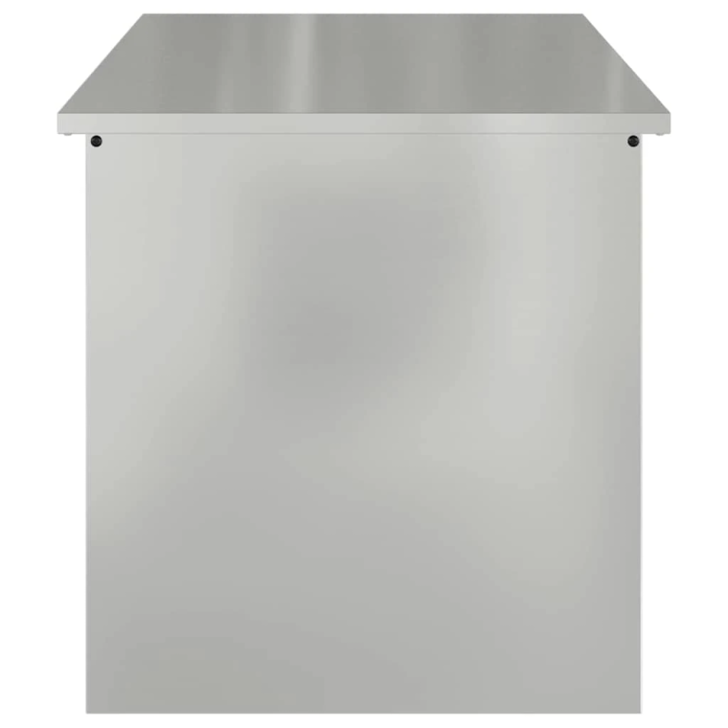vidaXL Āra uzglabāšanas kaste Sudraba 100 x 50,5 x 50 cm Tērauds