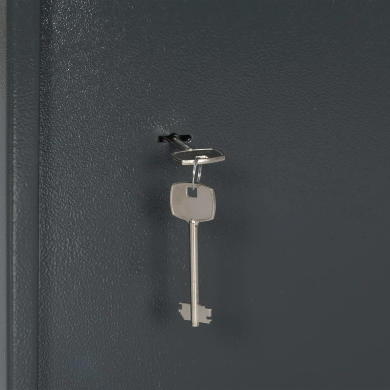 vidaXL Seifs ar slēdzeni Tumši pelēka 35 x 31 x 50 cm Tērauds