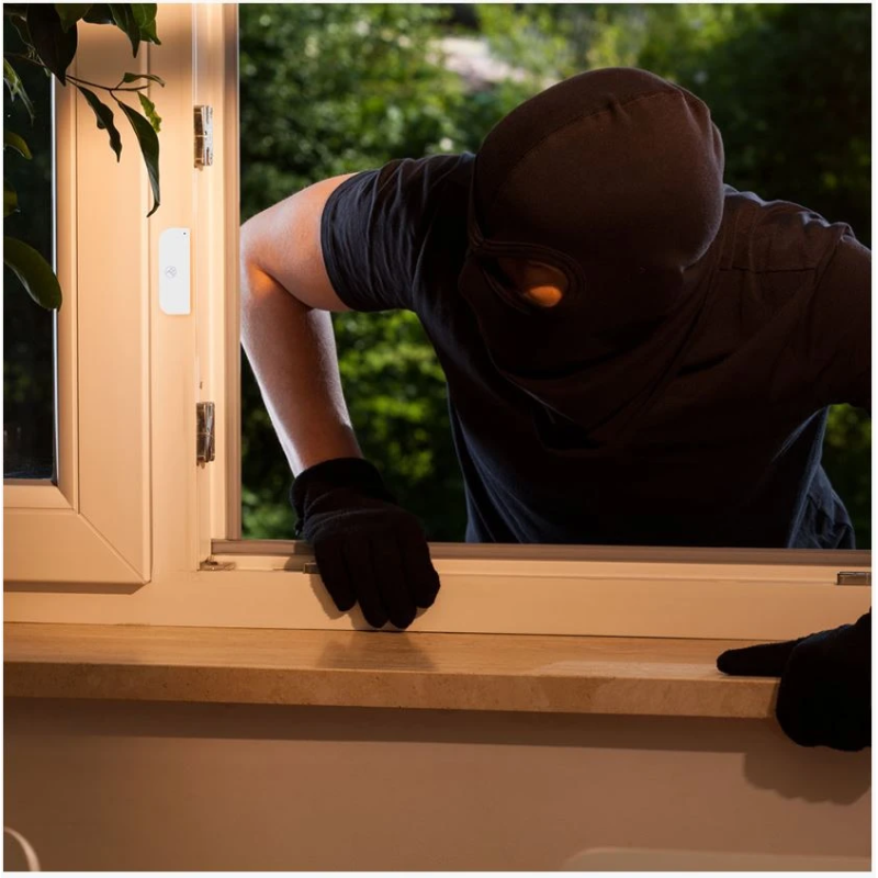 Tellur WiFi Door-Window Sensor, AAA, white