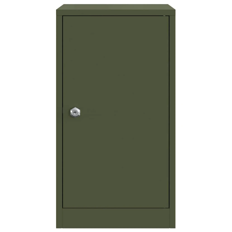 vidaXL pastkastei ar uzglabāšanu Olīvu zaļa 30 x 20 x 55 cm Tērauds