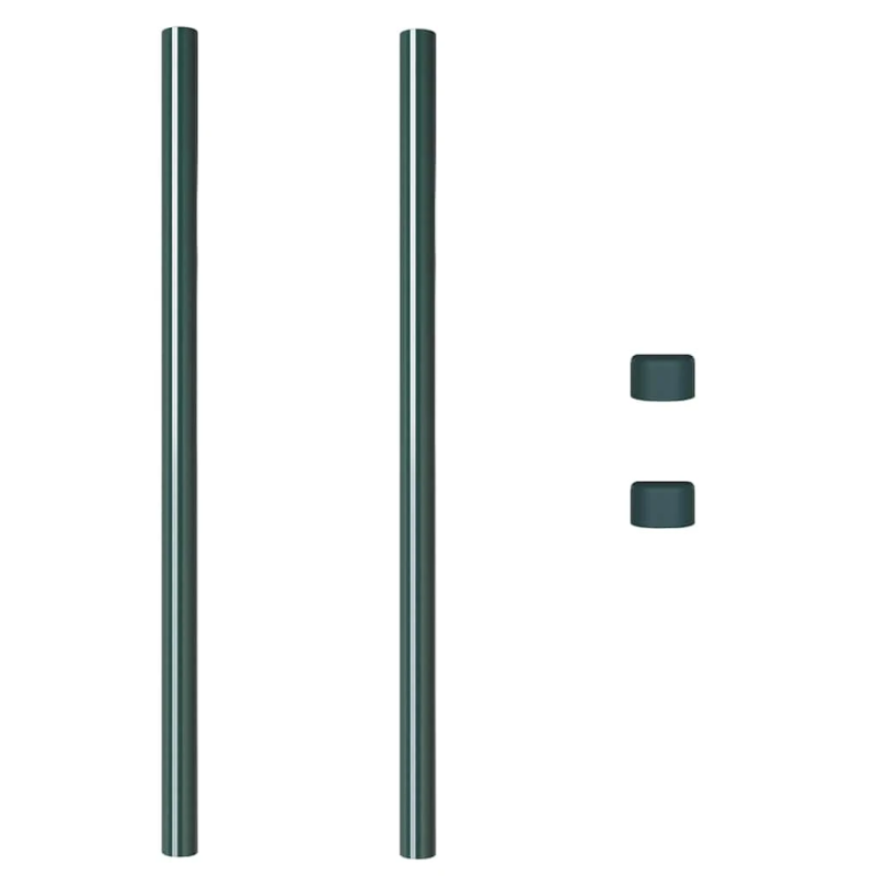 vidaXL Žoga āķis 2 pcs Zaļa 110 cm Pulverkrāsots tērauds