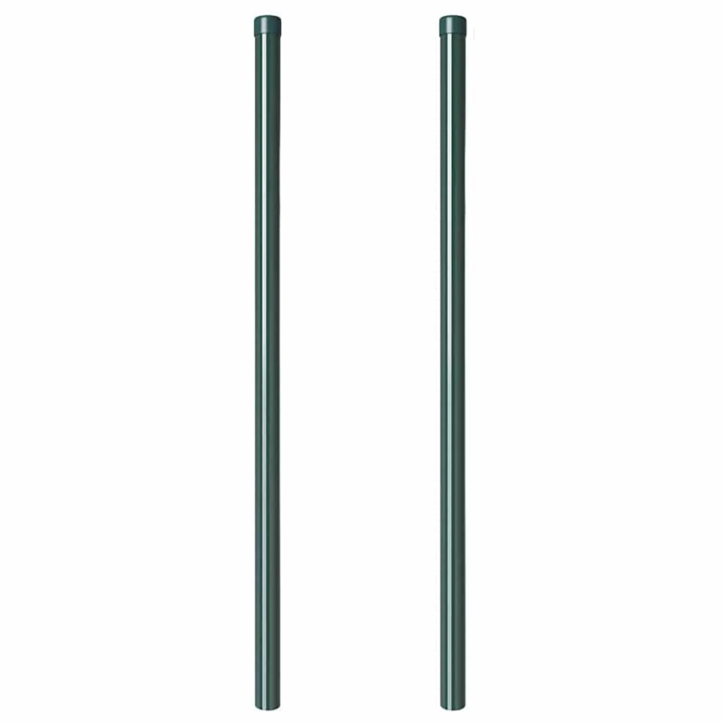 vidaXL Žoga āķis 2 pcs Zaļa 110 cm Pulverkrāsots tērauds