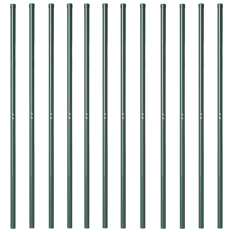 vidaXL Žoga āķis 12 pcs Zaļa Pulverkrāsots tērauds