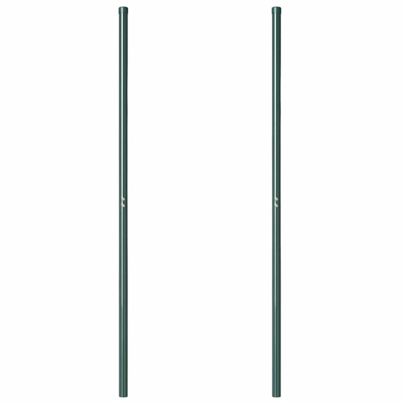 vidaXL Žoga āķis 2 pcs Zaļa Pulverkrāsots tērauds