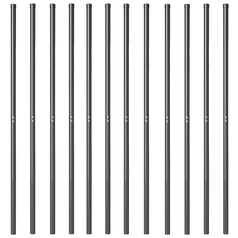 vidaXL Žoga āķis 12 pcs Pelēka Pulverkrāsots tērauds