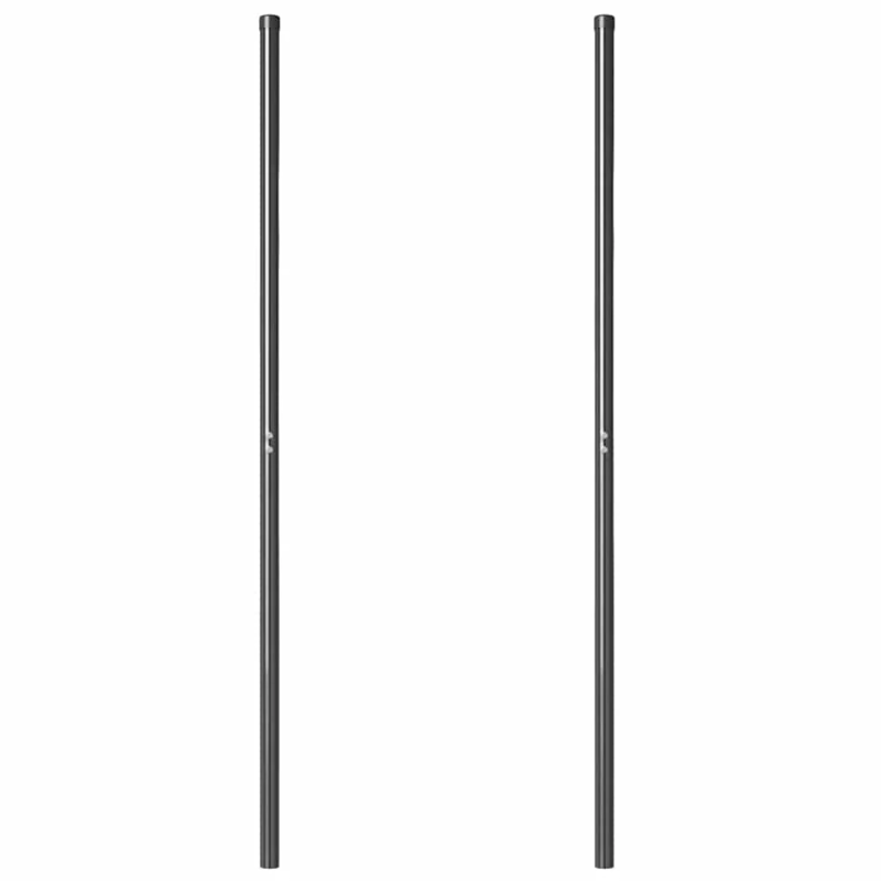 vidaXL Žoga āķis 2 pcs Pelēka Pulverkrāsots tērauds