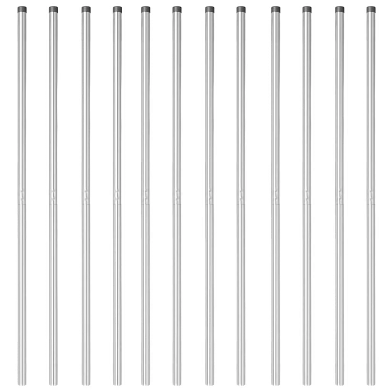 vidaXL Žoga āķis 12 pcs Sudraba Pulverkrāsots tērauds