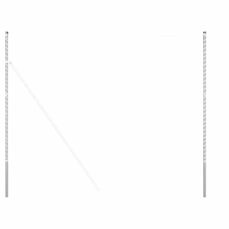 vidaXL Žoga āķis 2 pcs Sudraba Pulverkrāsots tērauds