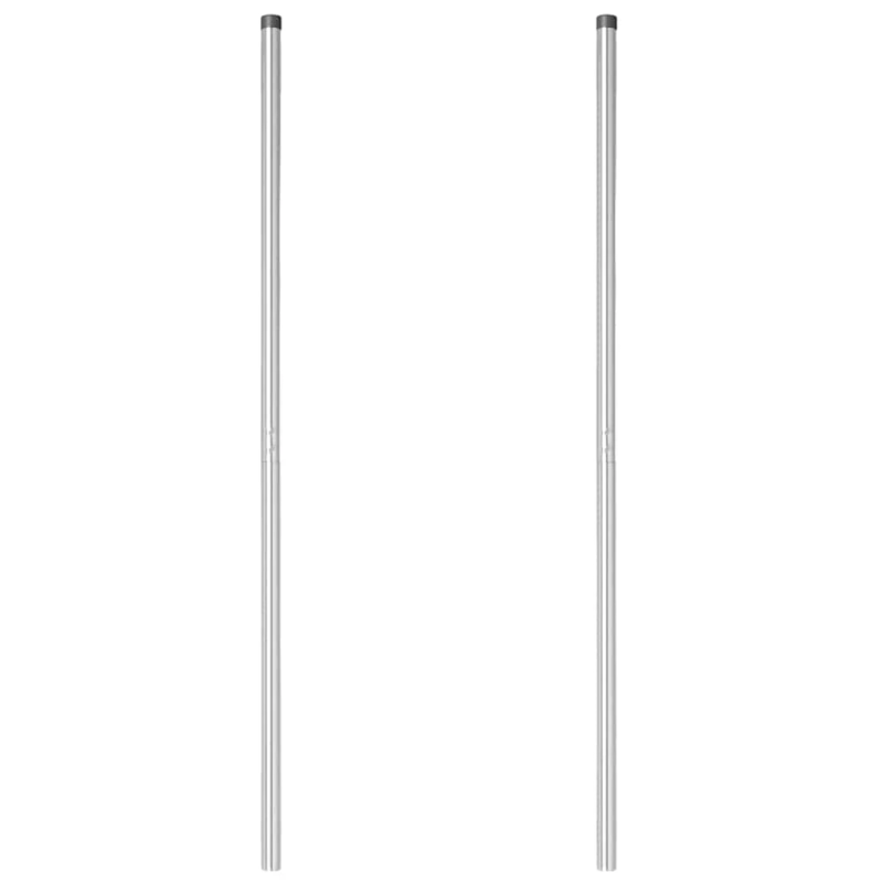 vidaXL Žoga āķis 2 pcs Sudraba Pulverkrāsots tērauds