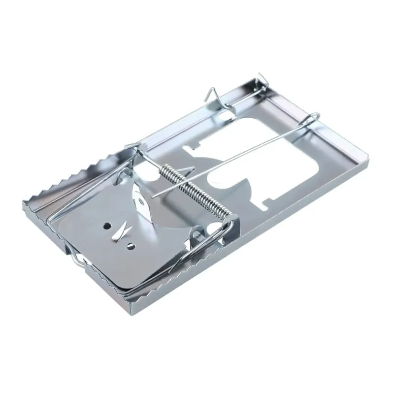 Slazds pelēm un žurkām grauzēji