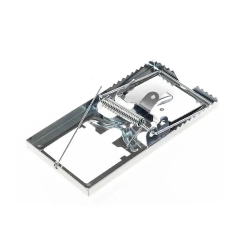 Slazds pelēm un žurkām grauzēji