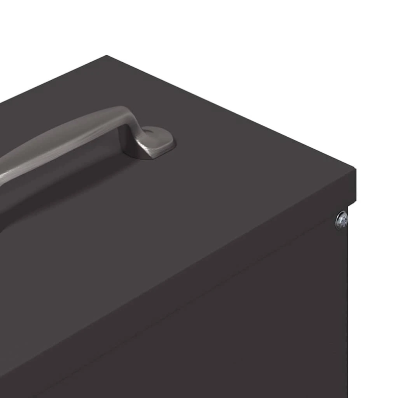 vidaXL Vistas barotava Melna 20 x 25 x 35 cm Auksti velmēts tērauds