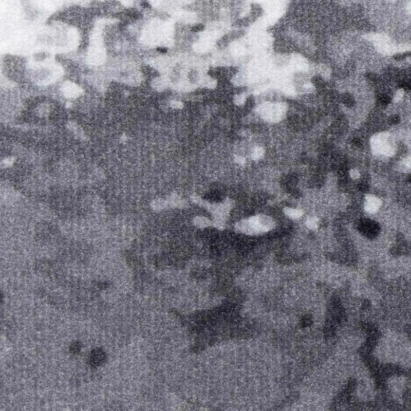 vidaXL Virtuves paklājs Pelēka 300 x 60 cm Samts