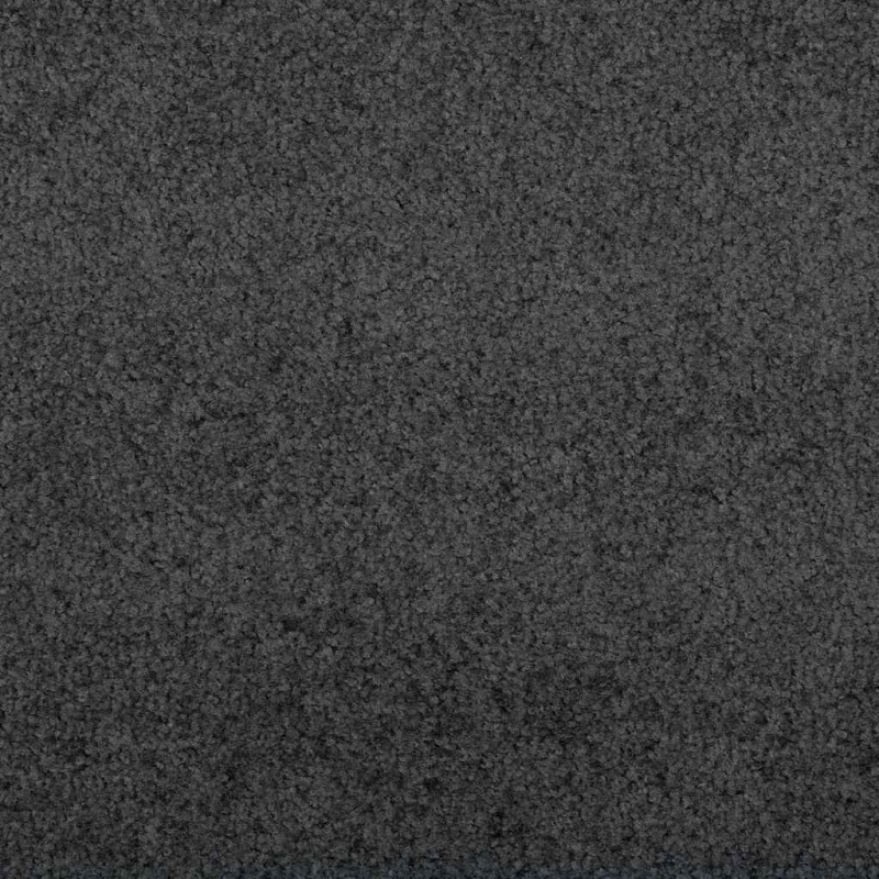 vidaXL Durvju paklājs Antracīts 60 x 40 x 1.2 cm Teddy audums