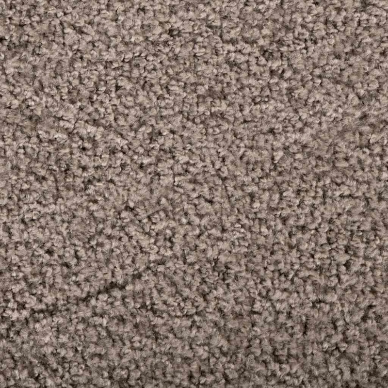 vidaXL Durvju paklājs Bēša 60 x 40 x 1.2 cm Teddy audums