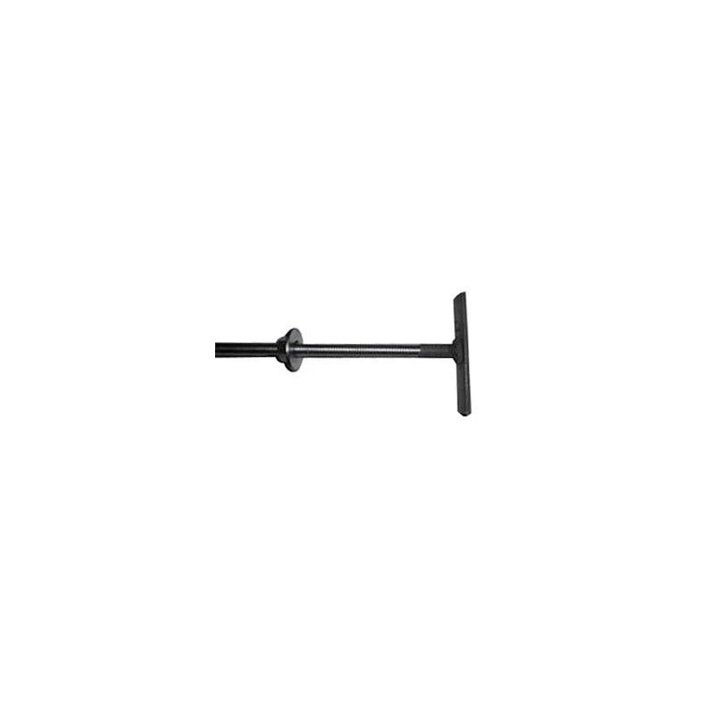 Stienis jumta konstr. m12x600mm zn