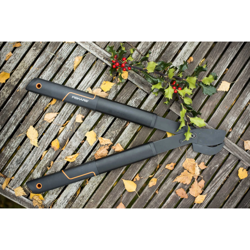 Grieznes singlestep ar āķveida galvu s