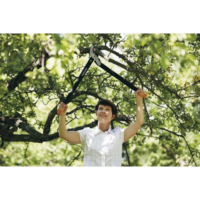 Powergear laktveida zaru grieznes, l77