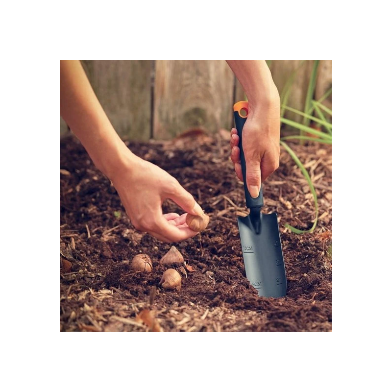 Ergo šaurā lāpstiņa