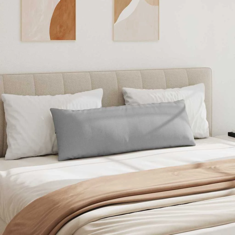 vidaXL Dīvāna spilveni 2 pcs Mākoņu pelēka 120 x 40 cm audums