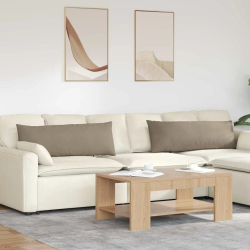 vidaXL Dīvāna spilveni 2 pcs Pelēkbrūna 120 x 40 cm audums