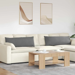 vidaXL Dīvāna spilveni 2 pcs Tumši pelēks 120 x 40 cm audums