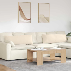 vidaXL Dīvāna spilveni 2 pcs Bēša 120 x 40 cm audums